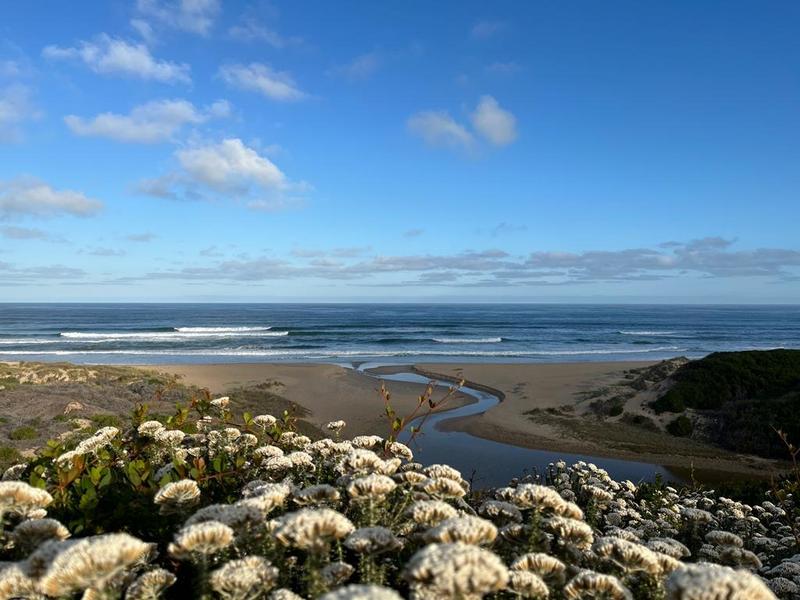 3 Bedroom Property for Sale in Moquini Coastal Estate Western Cape